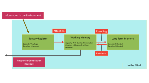 Information processing graphic that shows sensory register, working memory, and long-term memory.